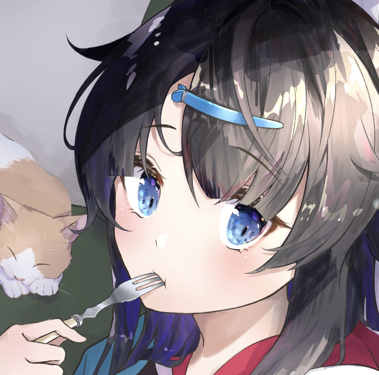 まっぷ×北海道えりも町コラボイラスト（納期：約2ヶ月）