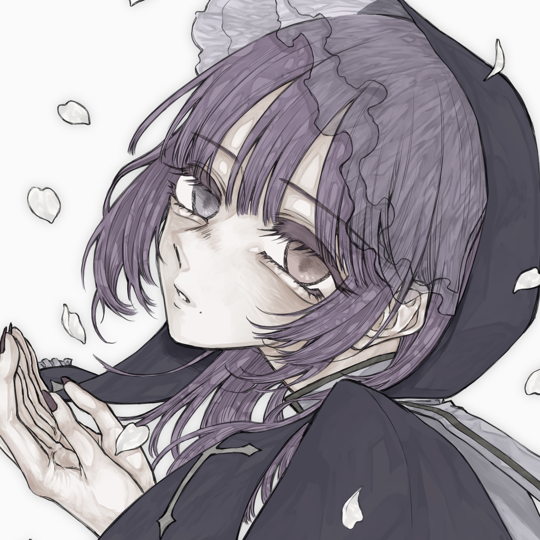 四日紅×北海道えりも町コラボイラスト（納期：約2ヶ月）