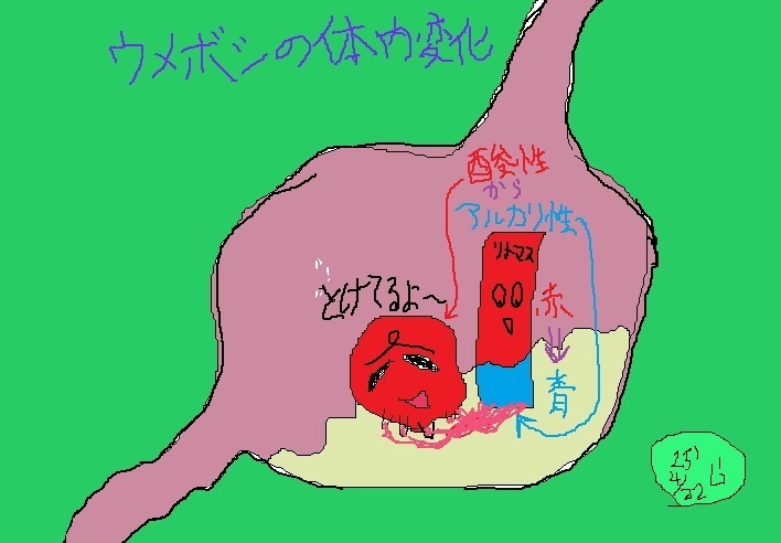 logic＠S家庭教師＆お悩み解決人×北海道えりも町コラボイラスト（納期：約1ヶ月）