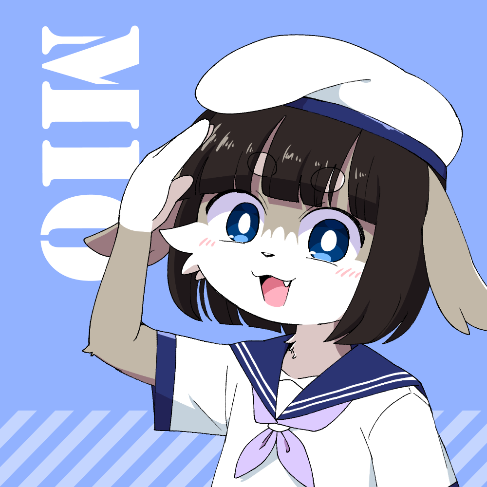 Pukkuru×北海道えりも町コラボイラスト（納期：約1ヶ月）