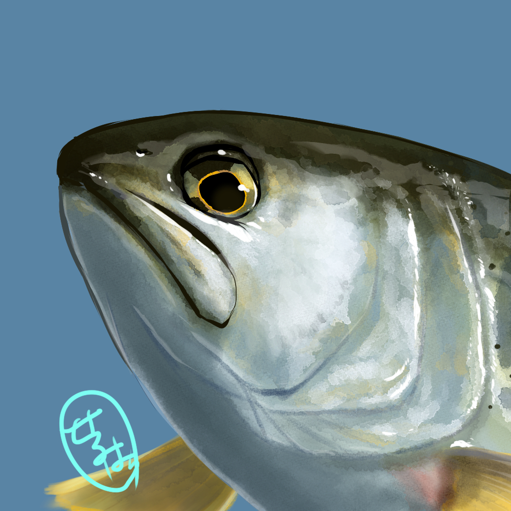 せるはち丸×北海道えりも町コラボイラスト（納期：約1ヶ月）