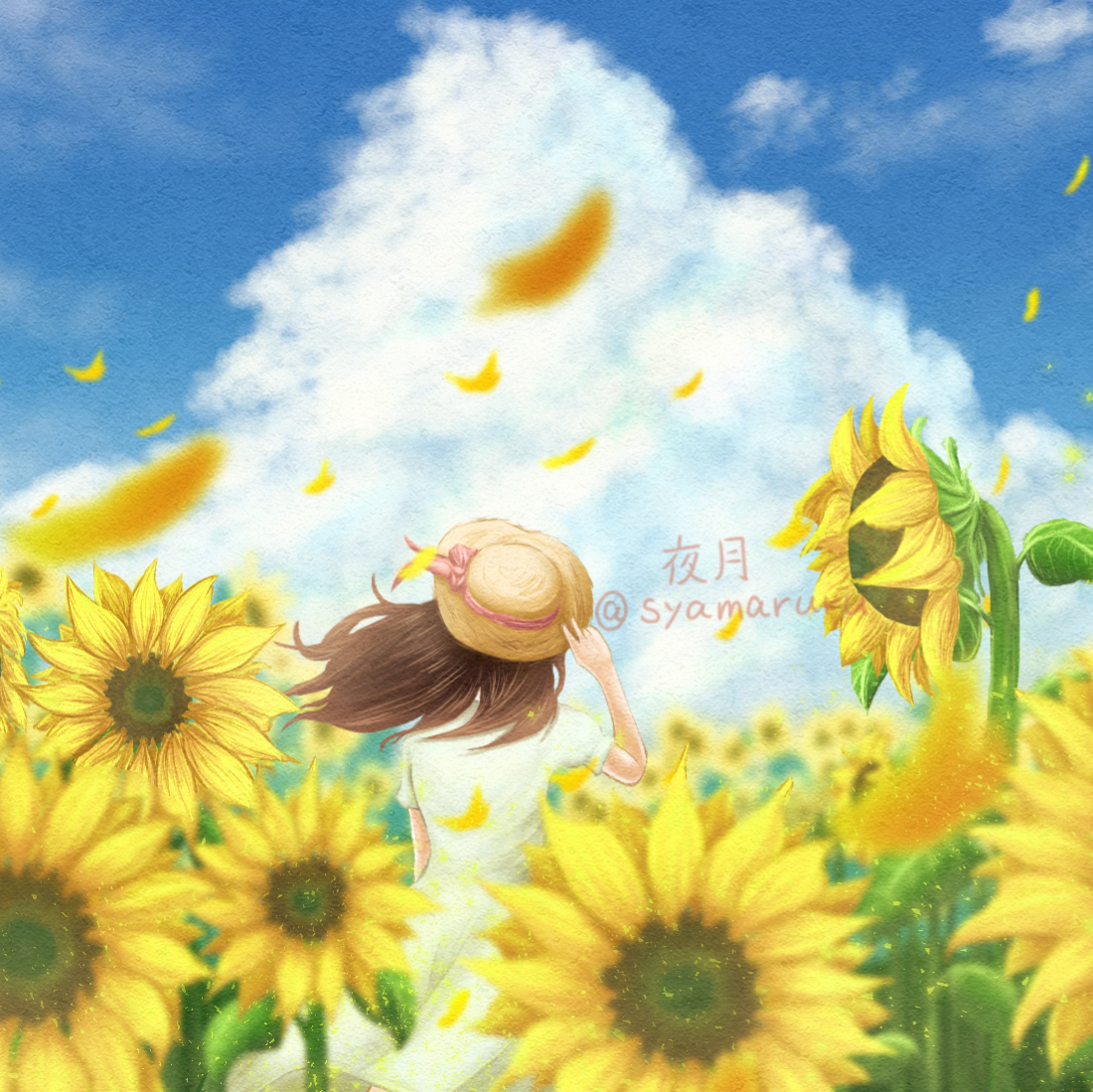 夜月×北海道えりも町コラボイラスト（納期：約2ヶ月）